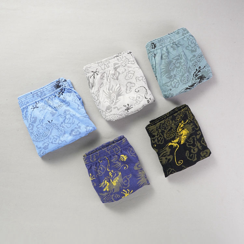 10 Pz/lotto 100% Cotone da Uom - Multi Pack Underwear recensione e prezzo