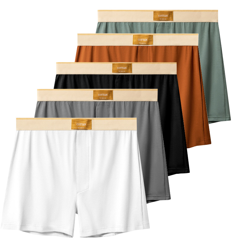 4 pezzi pantaloni freccia masc - Boxer Brief Pack Cotton recensione e prezzo
